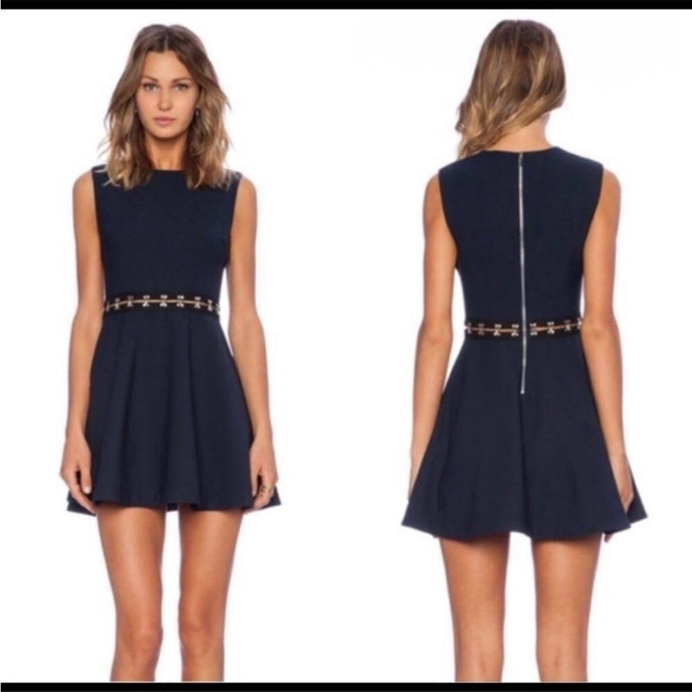 Elizabeth & James Renata Fit and Flare Silver Hardware Cut Out Waist Dress, Sz 0